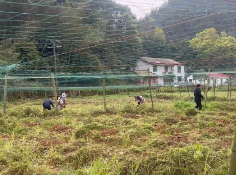 【走在乡村振兴大道上】 李畋镇：春耕正当时 合作社助农增收暖民心