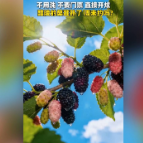 融媒新视界
