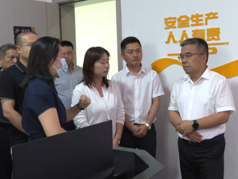 【建设平安醴陵·护航高质量发展】 向青松调研督导烟花爆竹企业复工复产