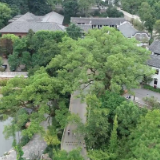 【打造“三个高地”·走在前列】瓷韵书香引客来 端午假期醴陵文旅热度攀升