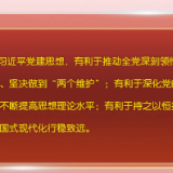 中央党的建设工作领导小组印发《关于学习贯彻习近平党建思想的通知》