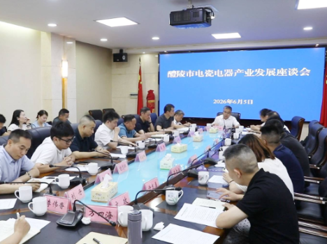 电瓷电器产业发展座谈会召开 向青松主持并讲话，蒋长富参加