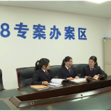 “两优一先”风采，我市何秋花 付铁棉荣获湖南省“两优一先”表彰