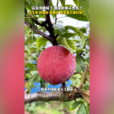 融媒新视界