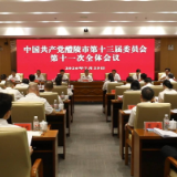 中共醴陵市第十三届委员会第十一次全体会议召开，向青松主持，蒋长富、唐军全、贺小玲、李小冬、廖胜云、钟碧武参加 