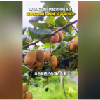 融媒新视界