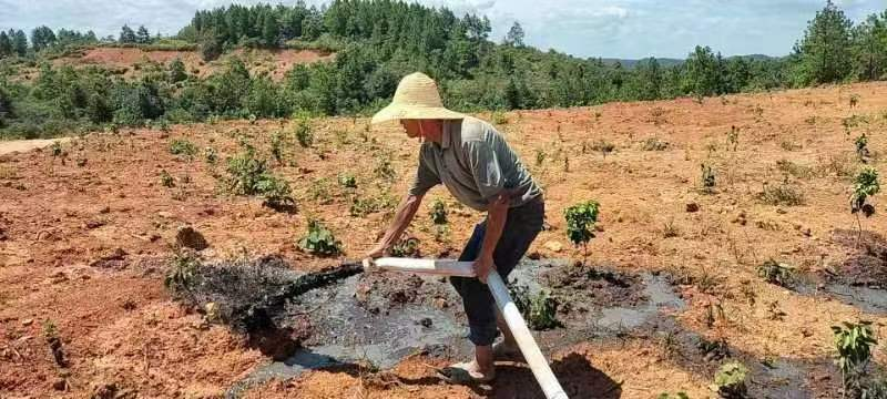 图片1.png 图片1.png