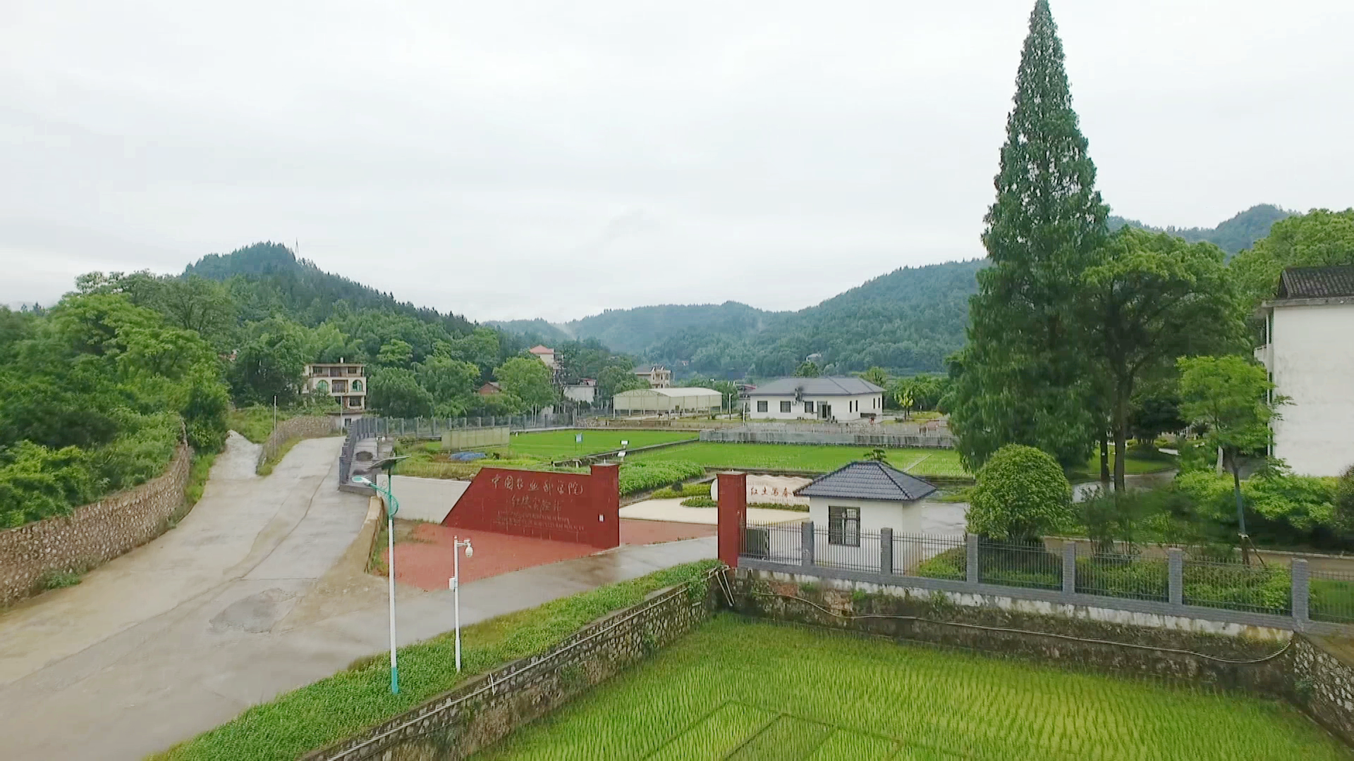 红壤.Bmp