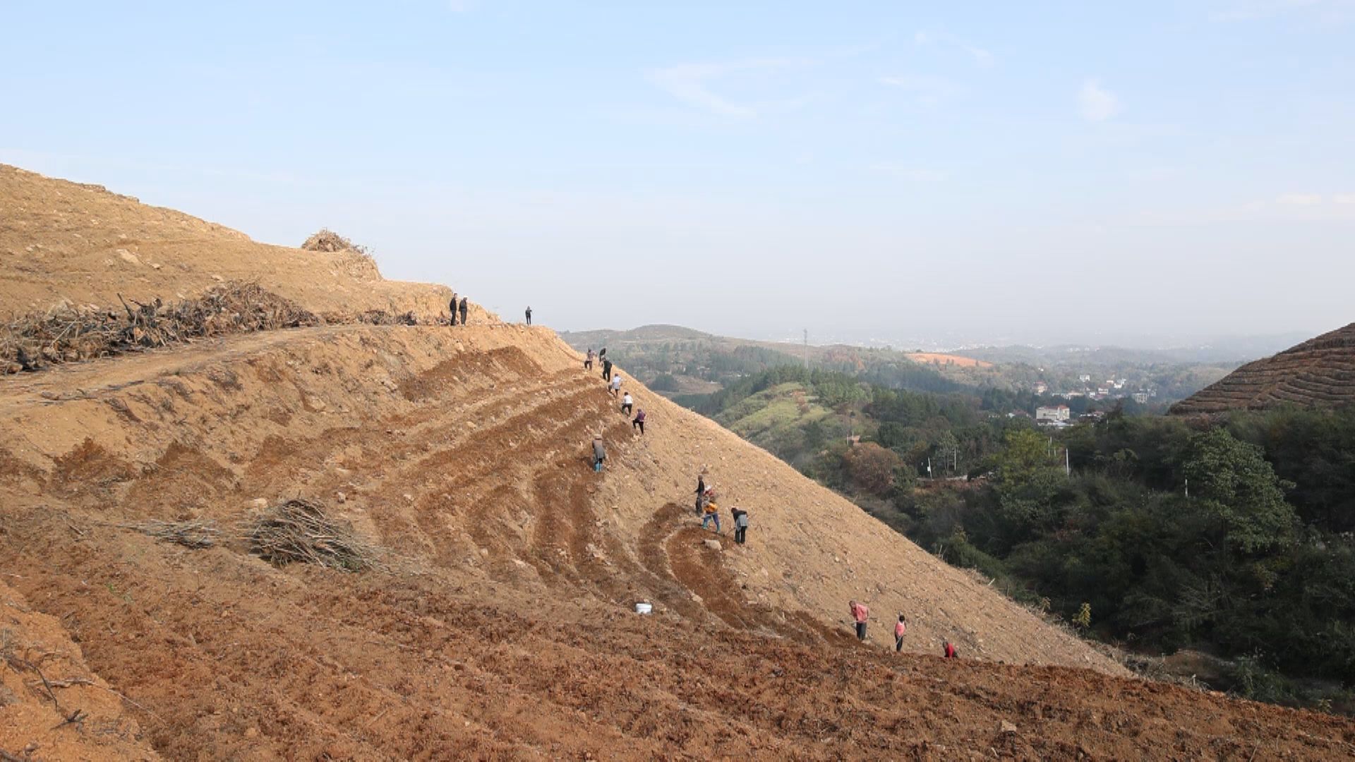 四冬生产.jpg 四冬生产.jpg