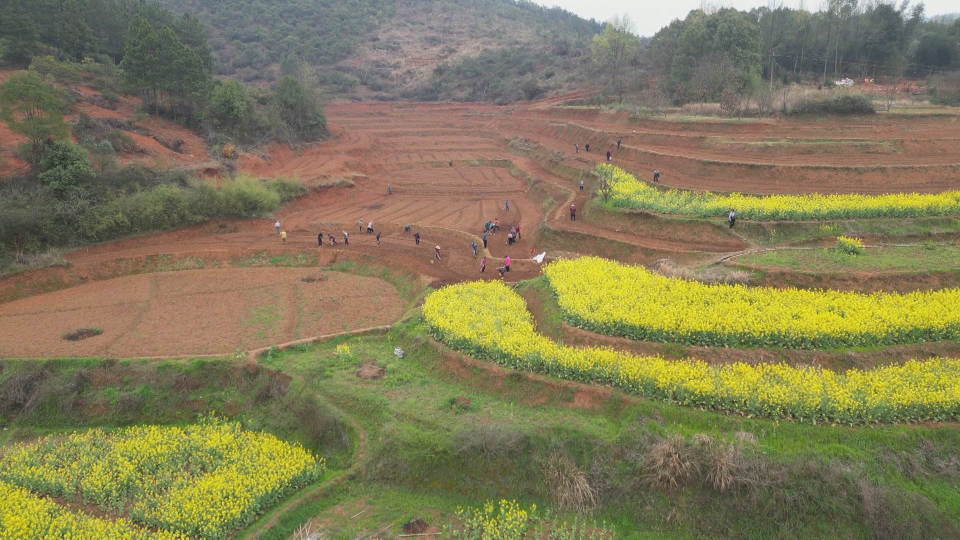 大村甸 (2).bmp 大村甸 (2).bmp