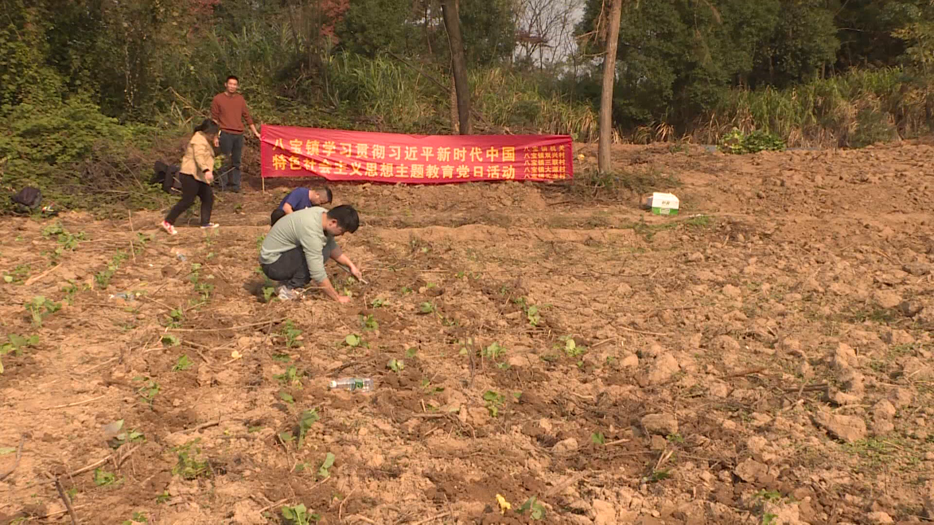 党员助农冬种-1.Bmp