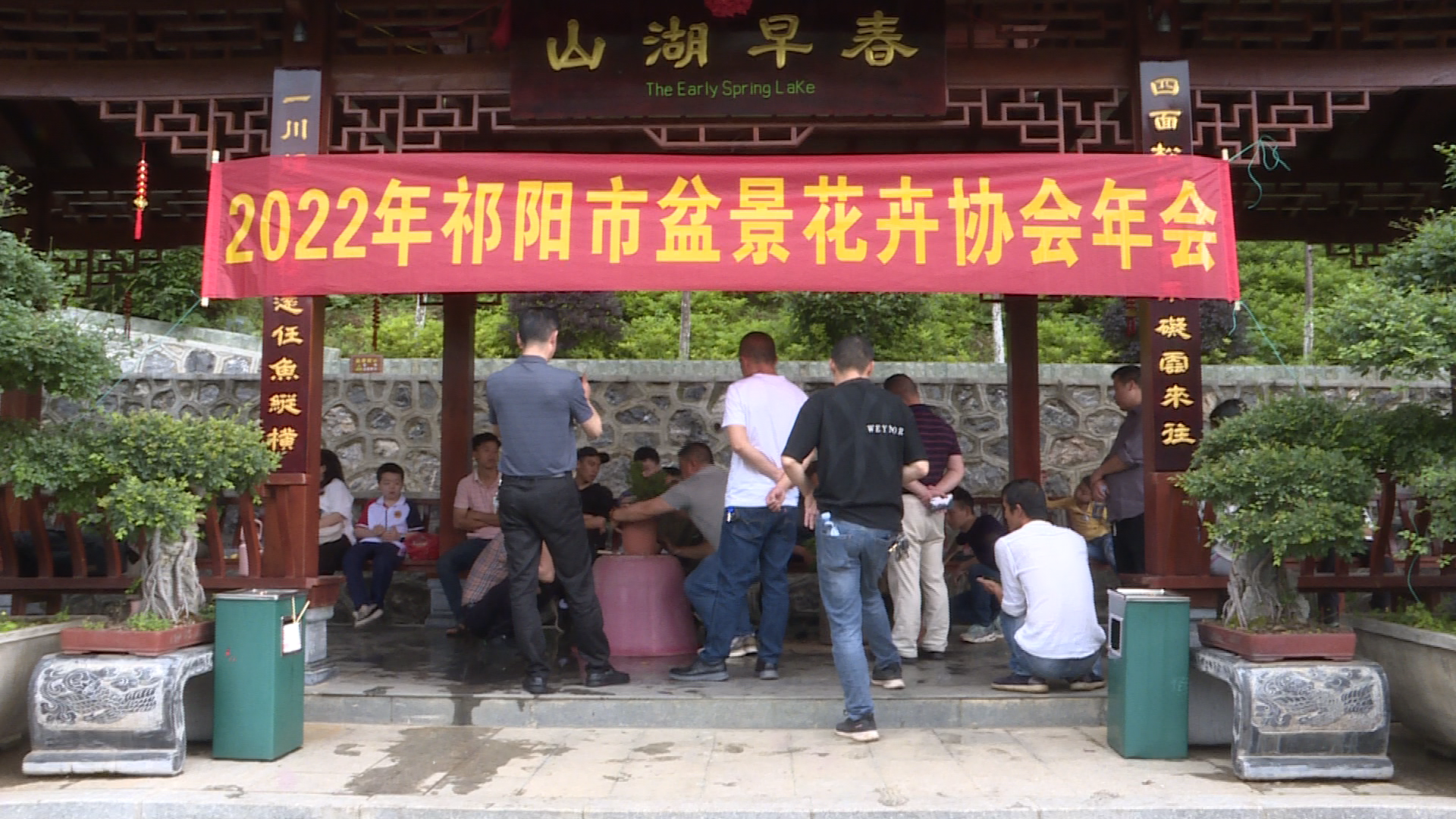 盆景协会2.Bmp