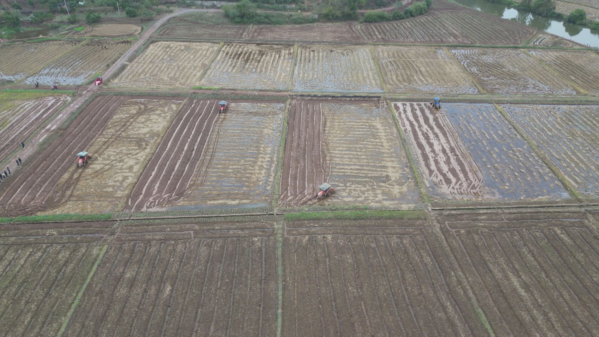 油菜机械化-3.jpg 油菜机械化-3.jpg