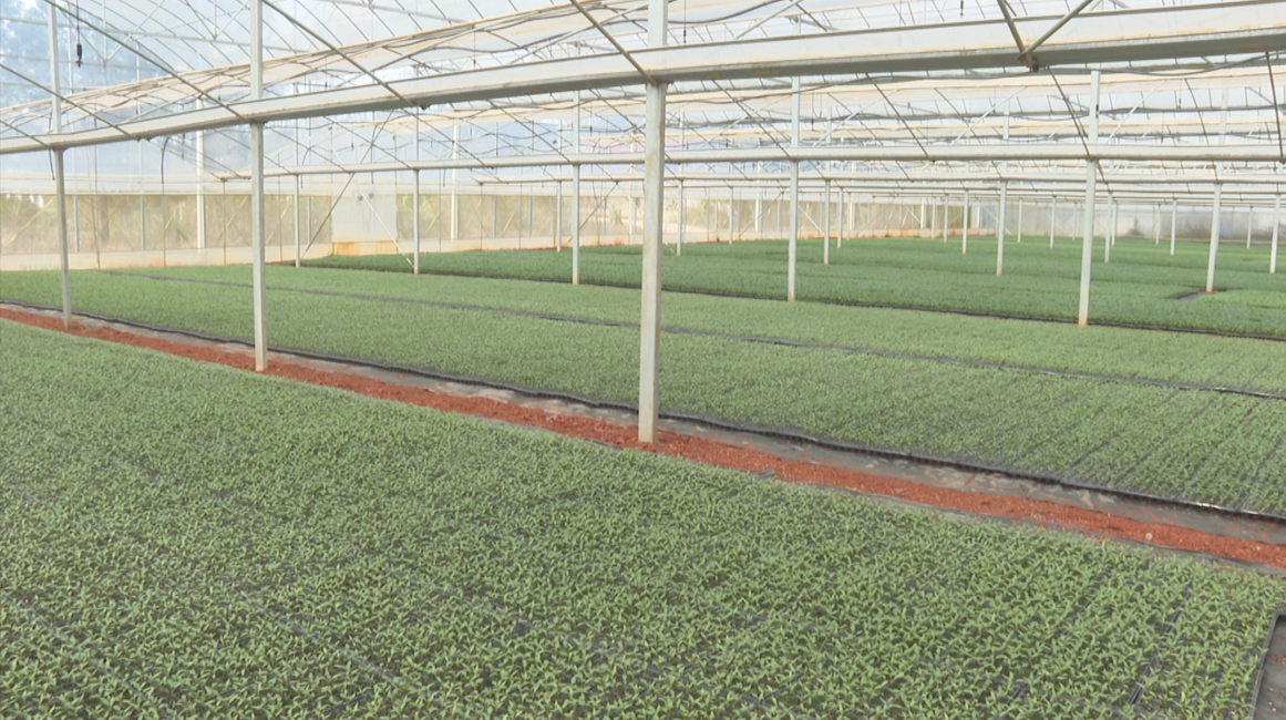 83ccdff8-c30a-41b9-be69-440706d7bc22.png 83ccdff8-c30a-41b9-be69-440706d7bc22.png