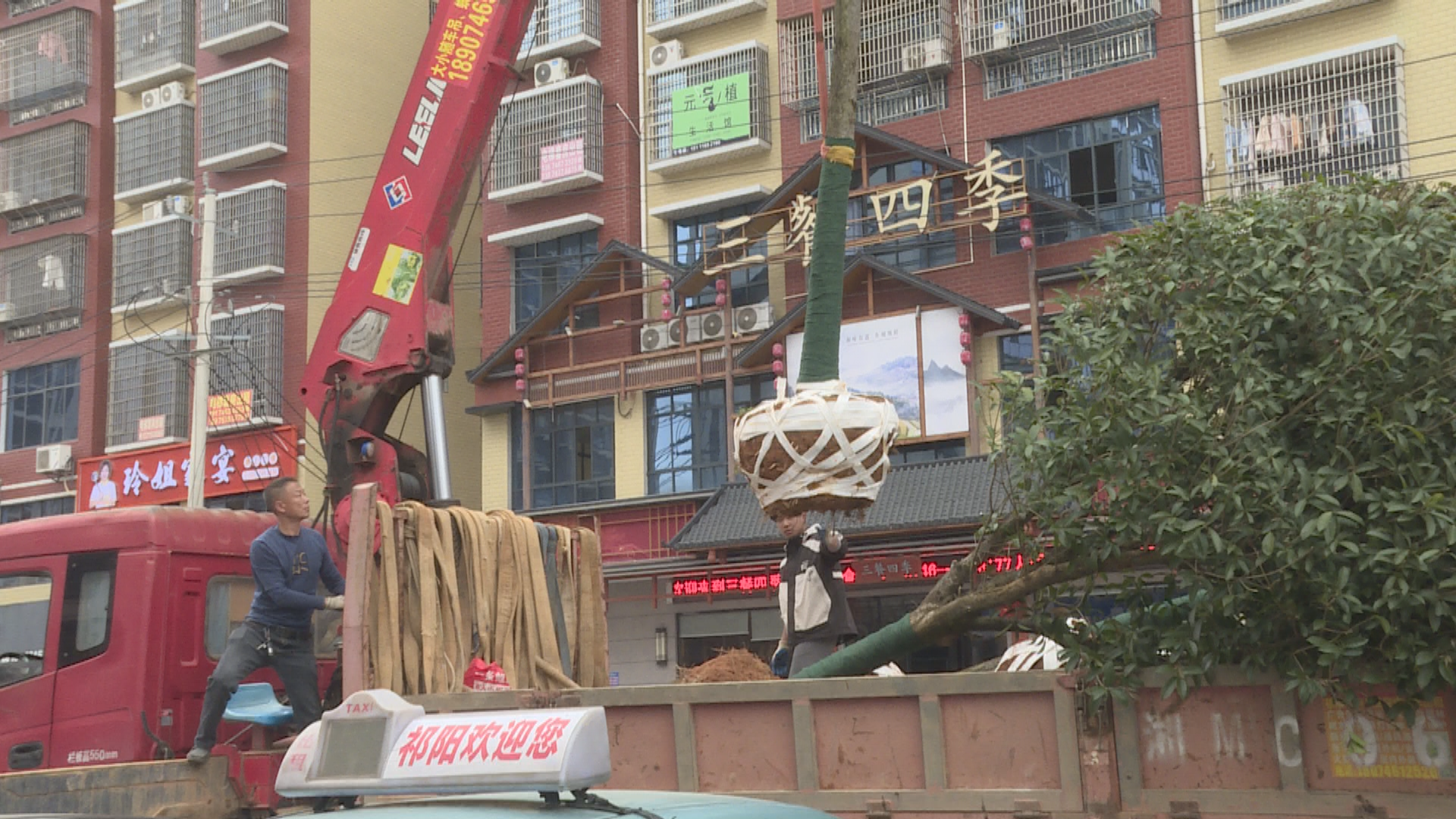 植绿-2.bmp 植绿-2.bmp