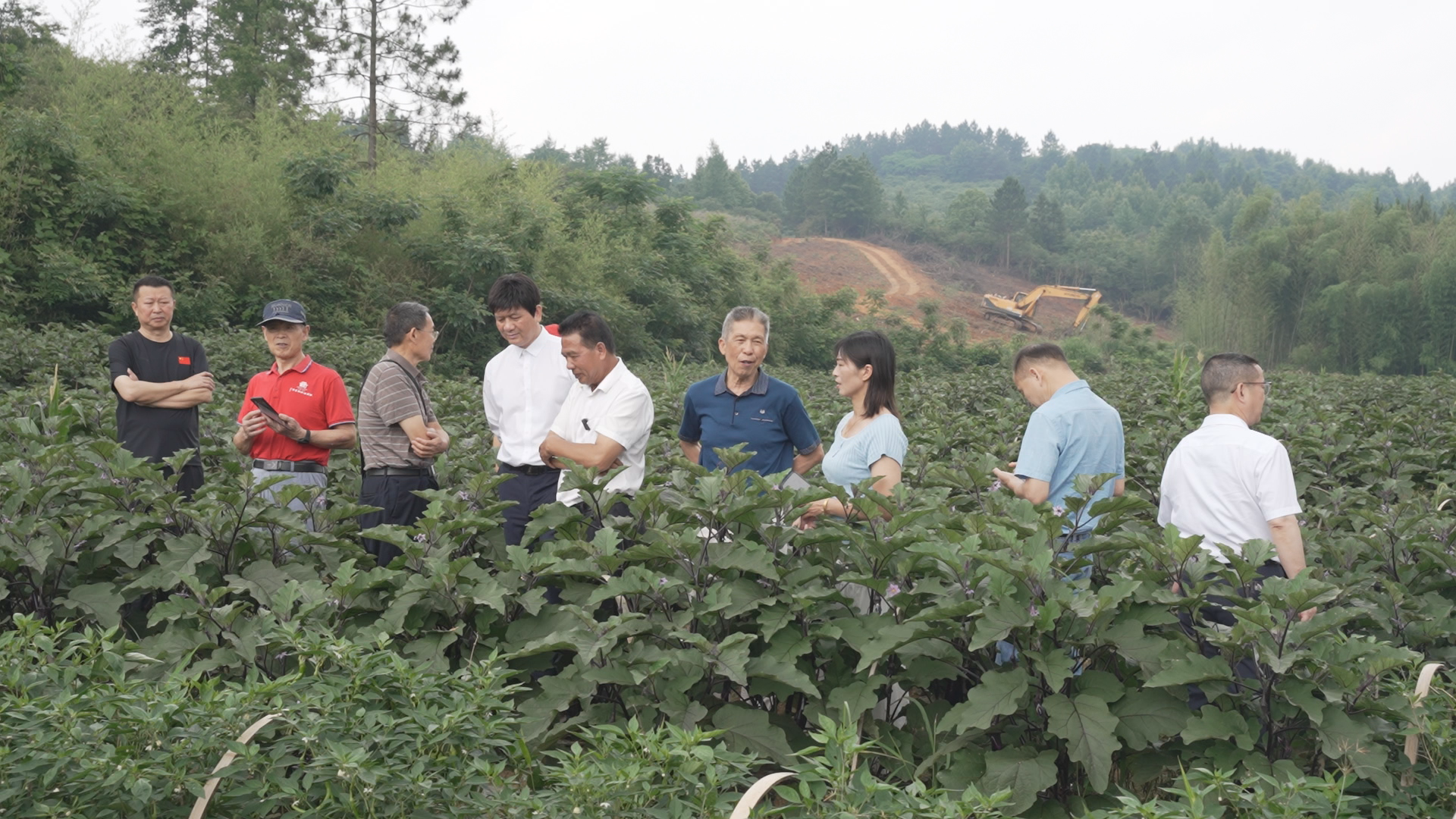 诗词协会-1.bmp 诗词协会-1.bmp