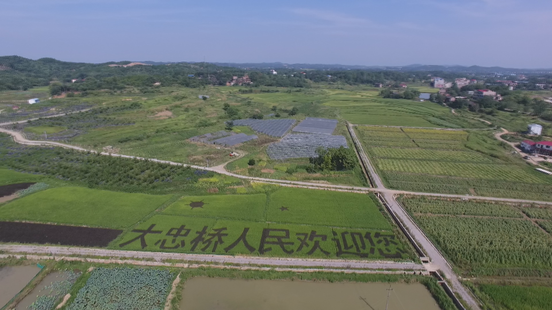 大忠桥这五年-1.bmp 大忠桥这五年-1.bmp