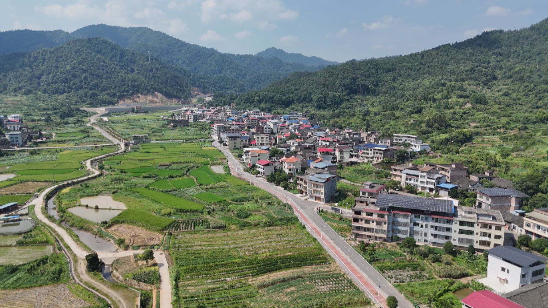 潘市-4.jpg