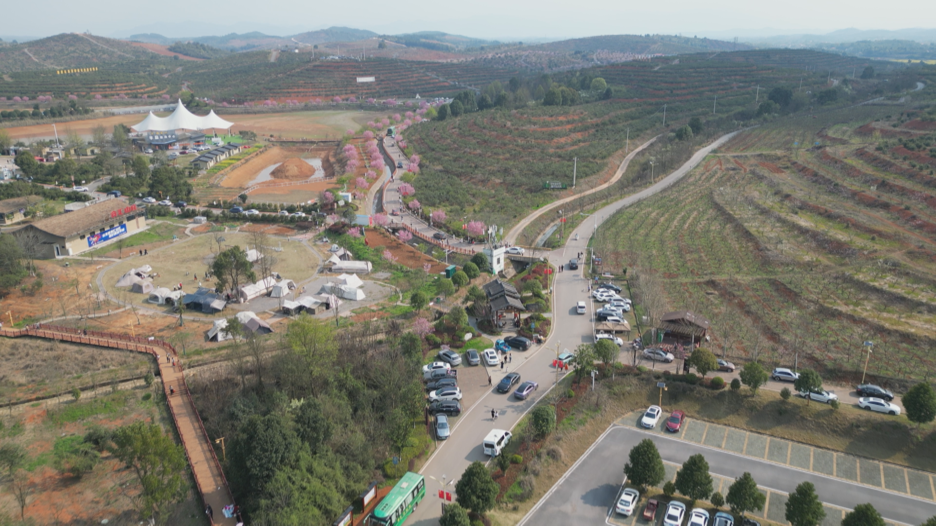 唐家山油菜花-1.bmp 唐家山油菜花-1.bmp