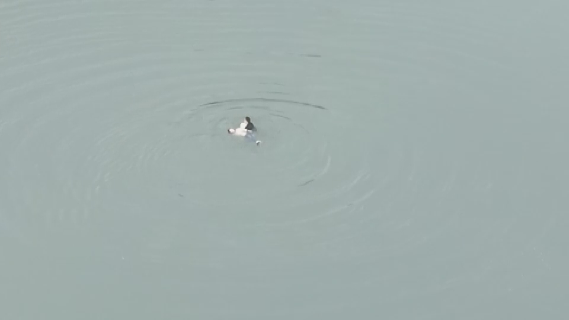 救人-2.bmp 救人-2.bmp