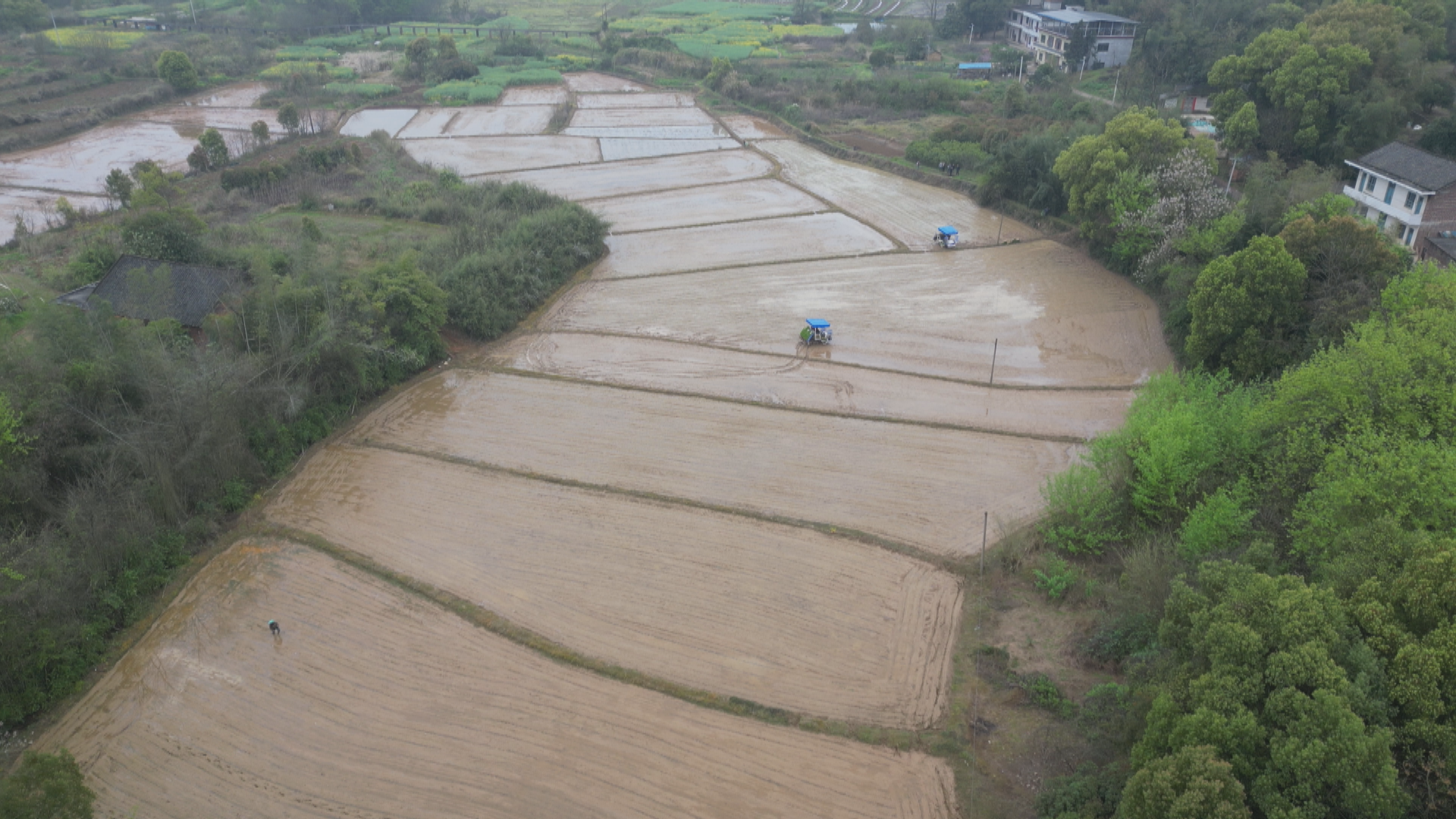 田保姆-1.bmp 田保姆-1.bmp