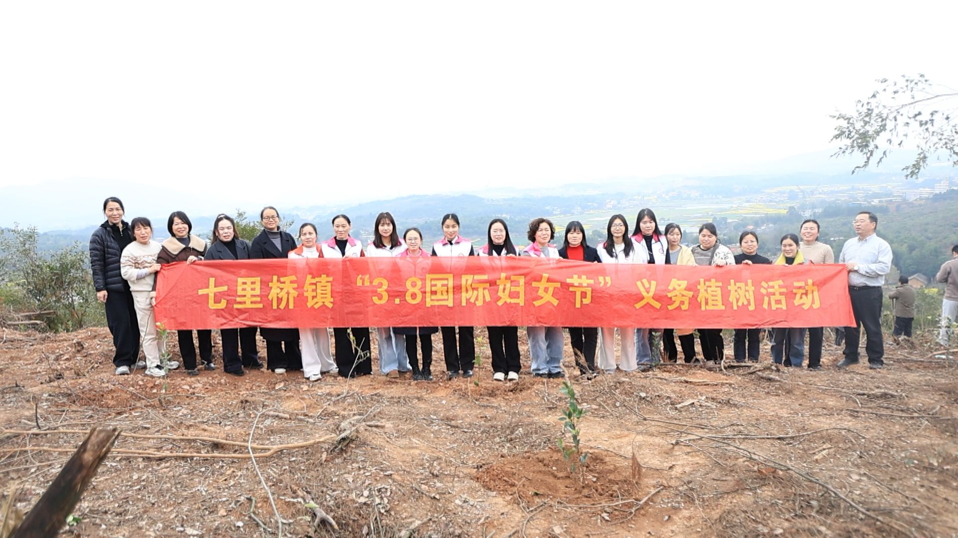 七里桥植树-4.jpg