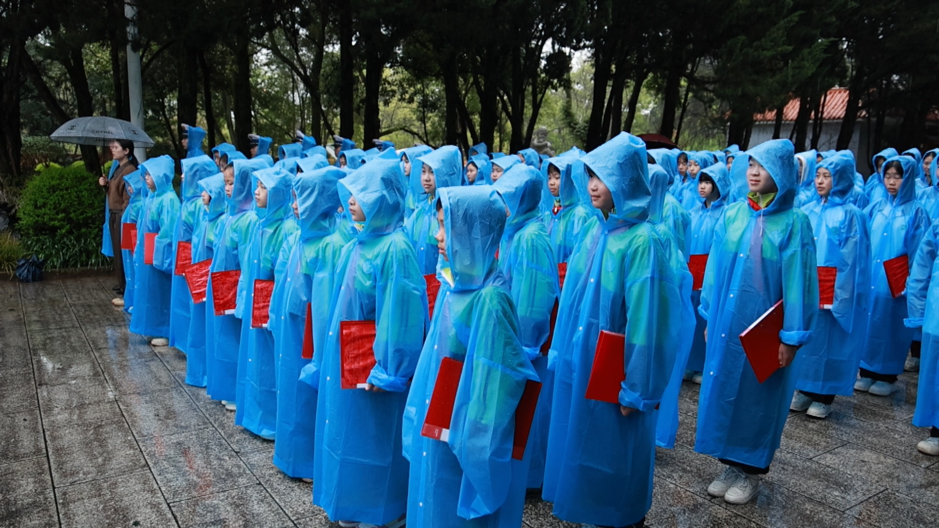 红种入心田-1.bmp 红种入心田-1.bmp