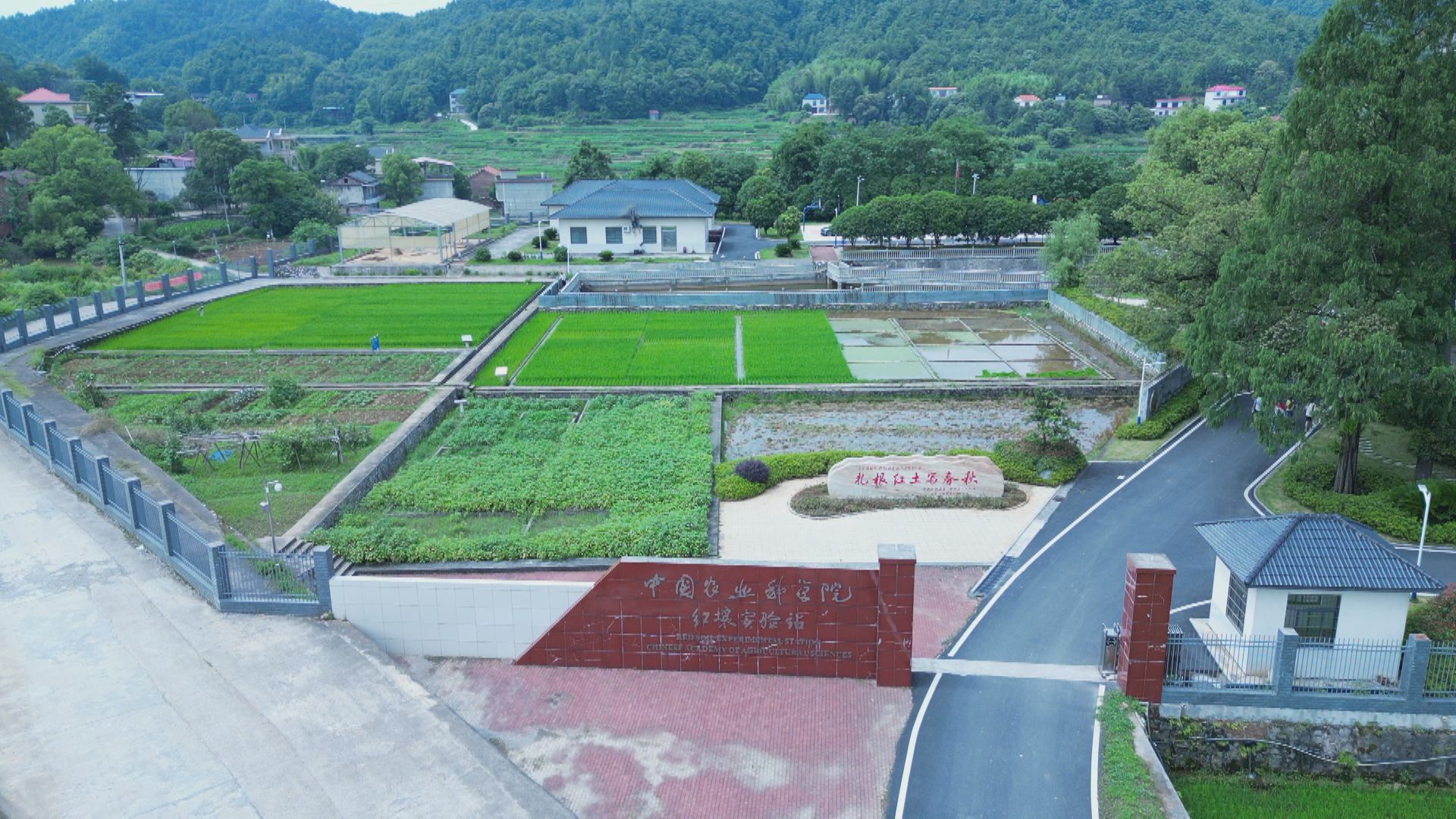 刘立生-1.jpg 刘立生-1.jpg