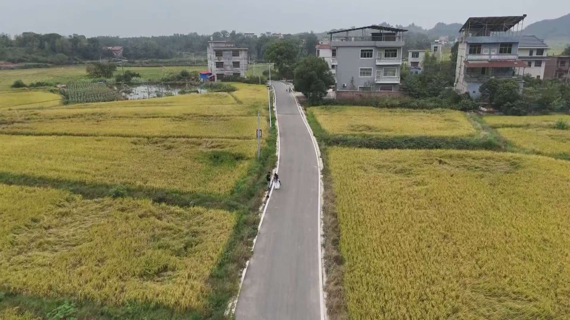 微信图片_20251021201050_159_6.jpg 微信图片_20251021201050_159_6.jpg