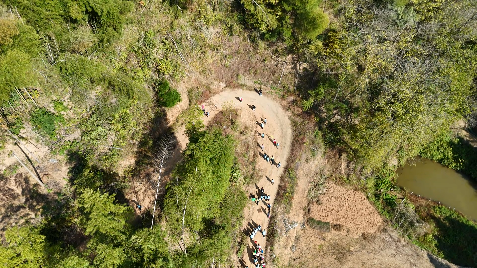 IMG_0104.bmp IMG_0104.bmp