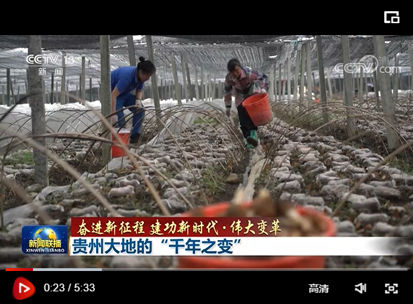 111份饭.png