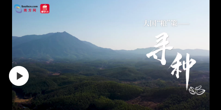 哈哈哈.png