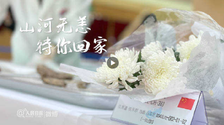 滚滚滚.png