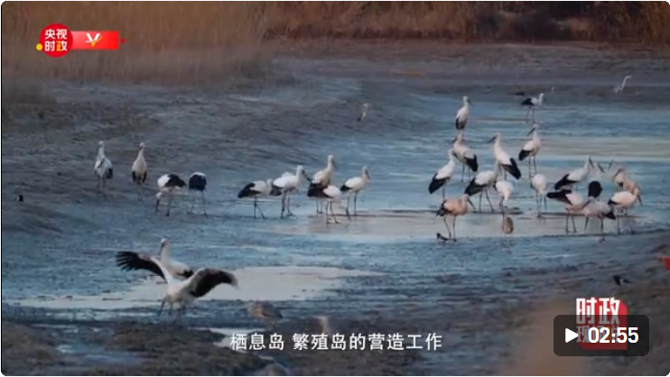 微信截图_20211022170445.png