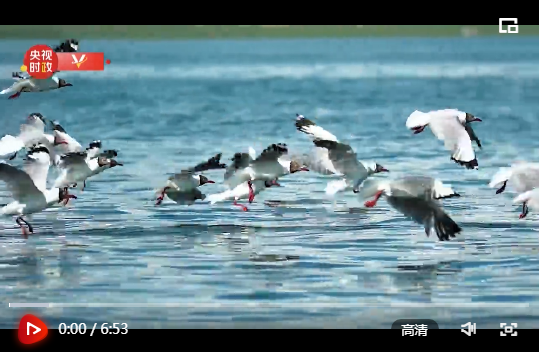 微信截图_20210611161655.png