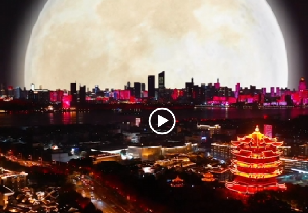 微信截图_20210922154809.png