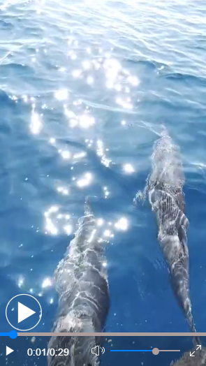 微信截图_20220607151556.png