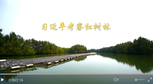 微信截图_20230412215959.png
