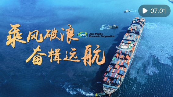 微信截图_20241113232445.png