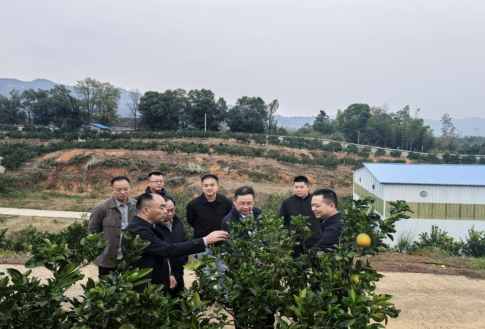 ScreenShot_2025-12-24_145549_235.png ScreenShot_2025-12-24_145549_235.png