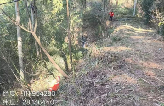 ScreenShot_2026-01-13_162159_156.png ScreenShot_2026-01-13_162159_156.png