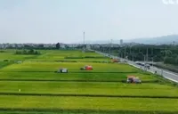 与孟浩然共赏田园