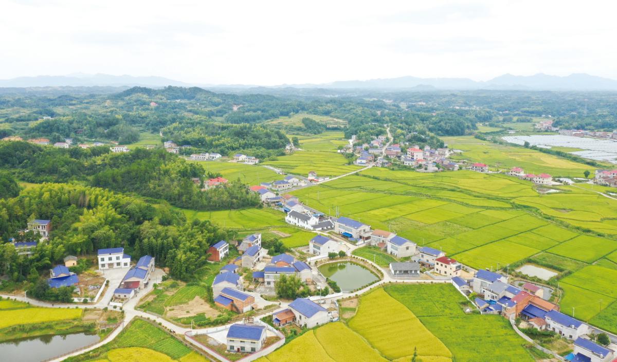 3736-老粮仓镇江花村(1).jpg 3736-老粮仓镇江花村(1).jpg