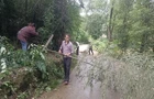 风雨见证初心，共建美丽金河 ——坝塘镇金河村全民参与人居环境整治