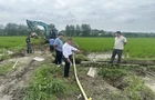 流沙河镇：党建引领 网格聚力 服务群众“零距离”
