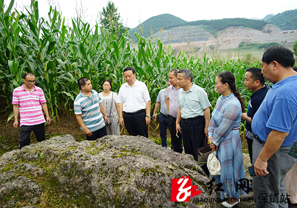 与会代表一行在四方城遗址采风.JPG
