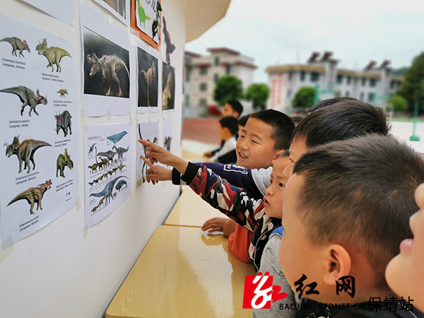 看“恐龙”展.jpg