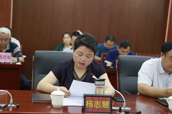 保靖县委副书记、县长杨志慧汇报对口帮扶工作情况.jpg