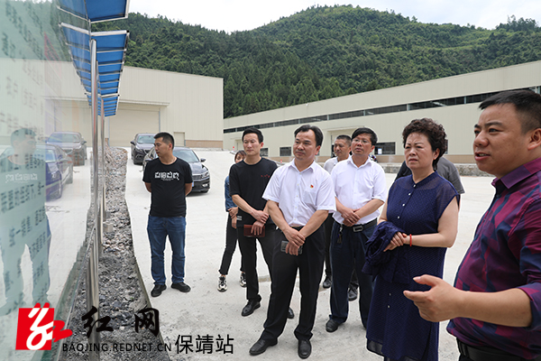 向清平在保靖县韵莱农业了解相关情况  宿任人  摄.JPG