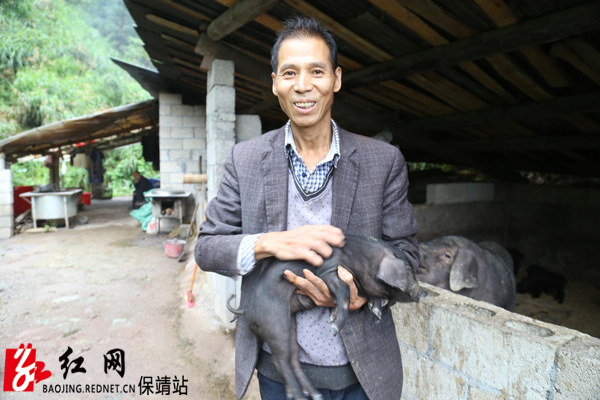 吴正勇今年收获的猪崽    宿任人  摄水.jpg